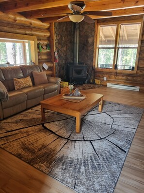 TV, fireplace, DVD player, video library