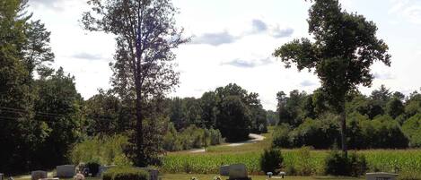 المنطقة المحيطة بالمنشأة