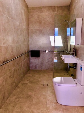 Douche, séchoir à cheveux, serviettes fournies, savon