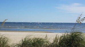 Une plage avec du sable et des algues au premier plan, et des oiseaux qui volent au-dessus de l’eau.