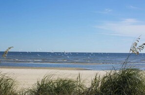 Beach nearby, sun loungers, beach towels - Pet-friendly home with PRIVATE POOL! (Bay St. Louis)