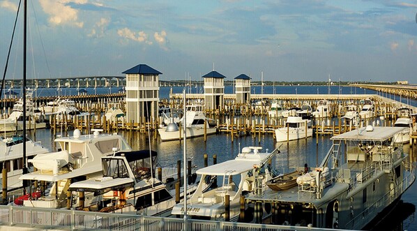 Marina