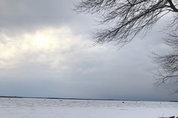 Winter shoreline