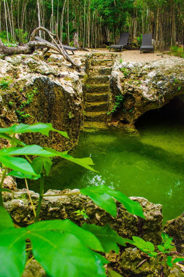 Parco della struttura