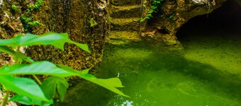 Cabaña Brillo de Estrellas- "letsbal Eeke"