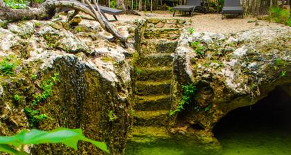 Cabaña Brillo de Estrellas- "letsbal Eeke"