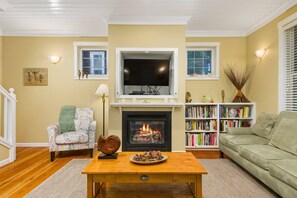 Televisión, chimenea, libros
