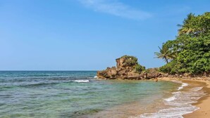 Une plage à l’eau turquoise et limpide, un rivage sablonneux et un promontoire rocheux couvert de végétation.