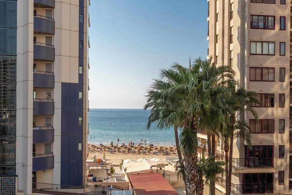 بالقرب من الشاطئ