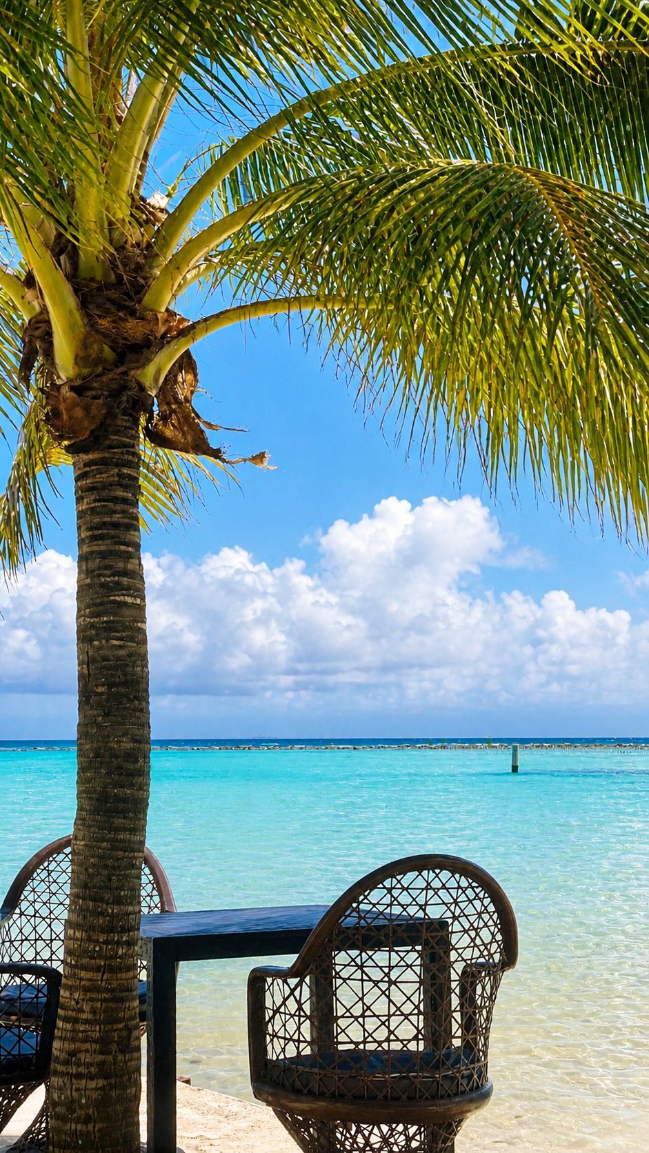 Escena de playa con una palmera, agua turquesa cristalina y una silla.