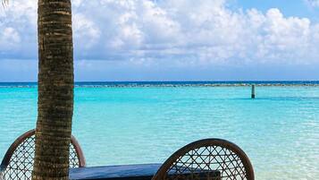 Escena de playa con una palmera, agua turquesa cristalina y una silla.