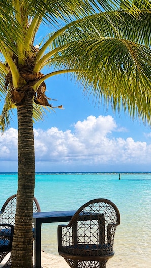 A beach scene with a palm tree, clear turquoise water, and a chair. - Mar Mary Ocean View (Boca Chica)