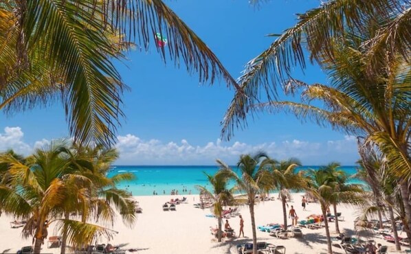 Playa en los alrededores 