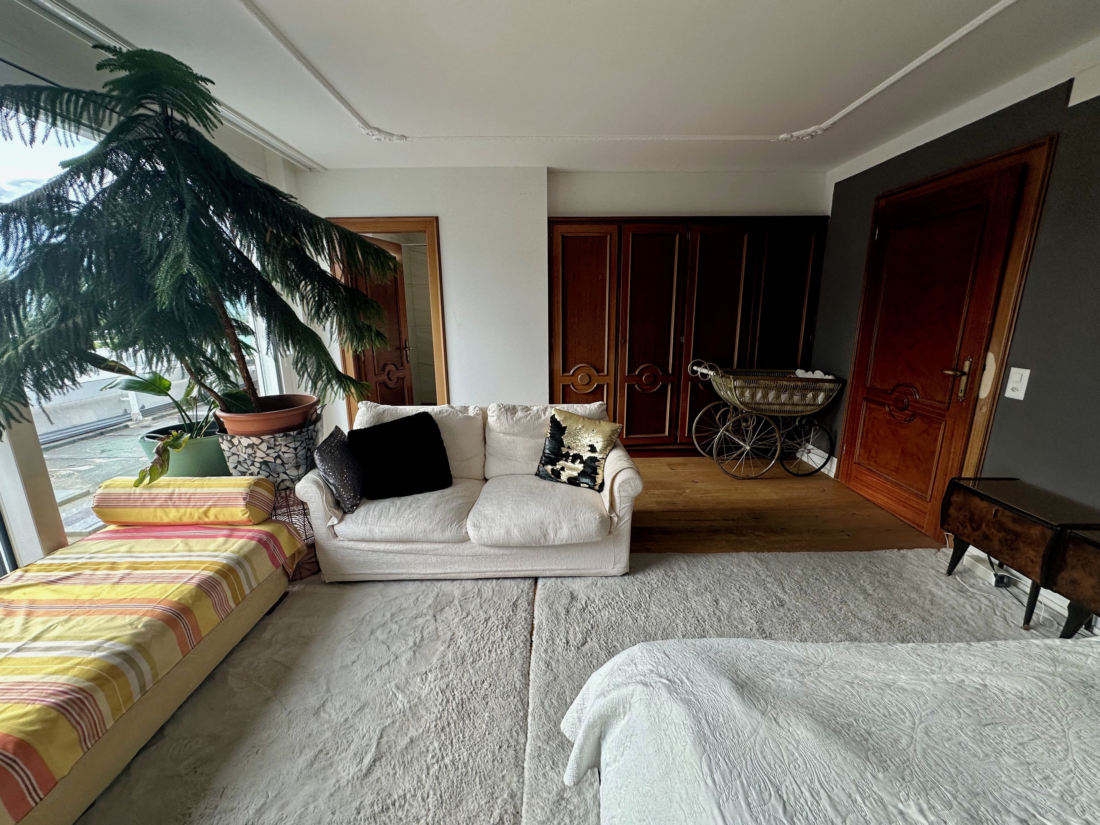 Un salon avec un canapé, une grande plante en pot, une poussette et un tapis à motifs.