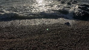 A beach with sunlight reflecting off the water. - A stroll to Ringwood, near to New Forest & South Coast Beaches. Private Parking (Ringwood)