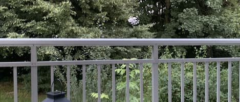 住宿场地