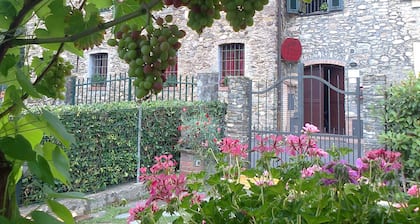 The Tralcio, beautiful!