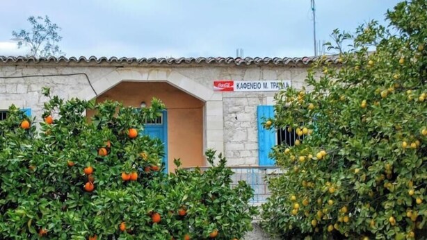 A traditional stone building with a blue door, surrounded by lush greenery and potted plants.