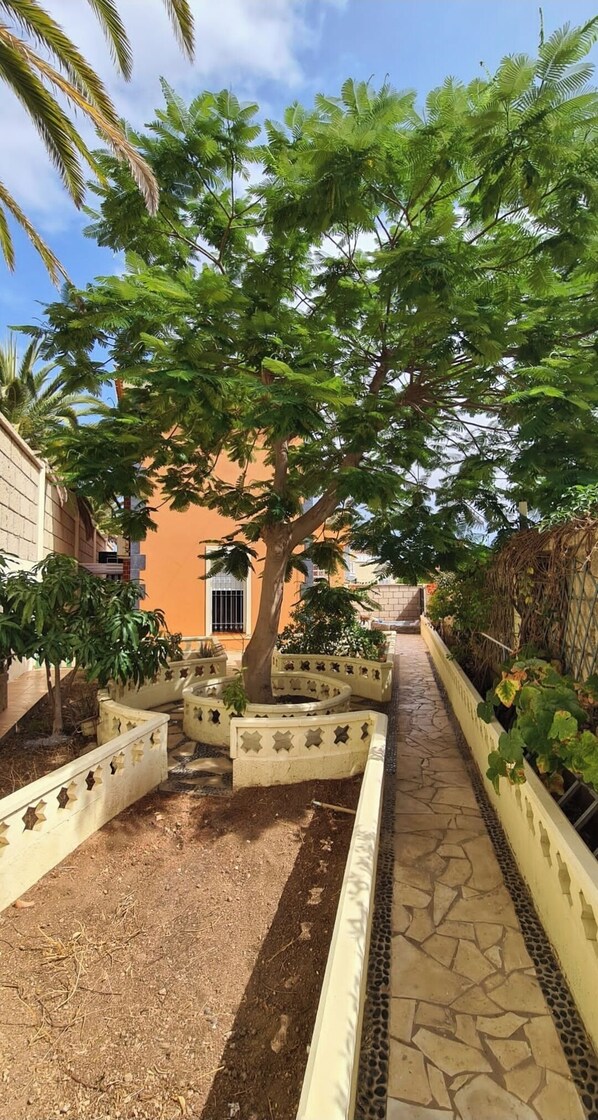 Área da propriedade