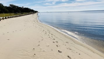 在海滩、沙滩椅