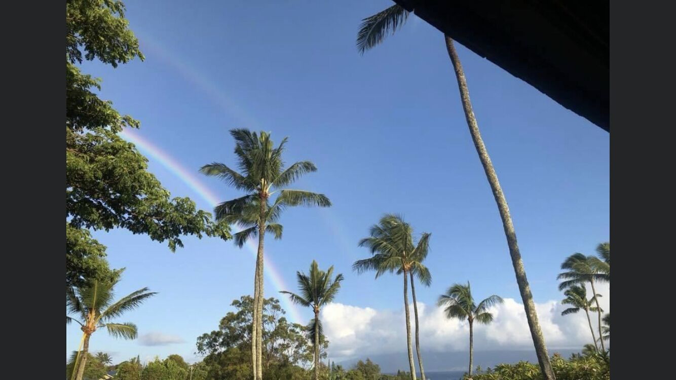 MAUI BEAUTY ~ Tropical Napili Bay Lahaina CONDO ~1BR King ~ Kitchen ~ AC!!!