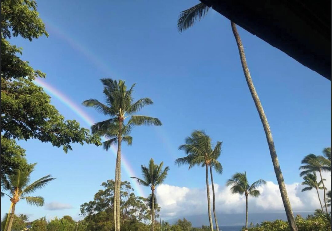 Rainbow view from our patio