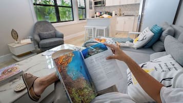 Smart TV, books, stereo