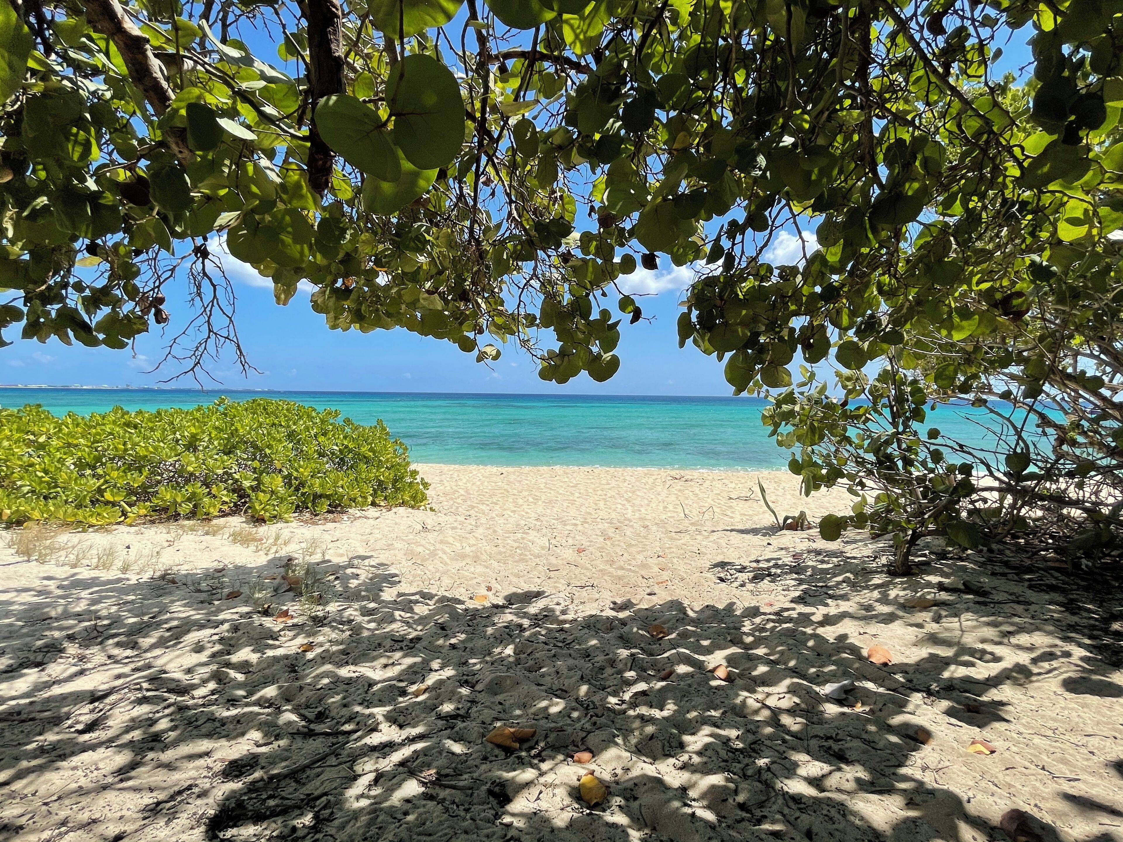 Beach nearby, sun-loungers, beach towels