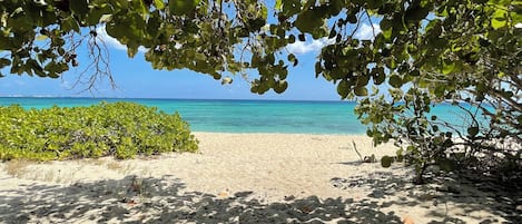 Plage à proximité, chaises longues, serviettes de plage