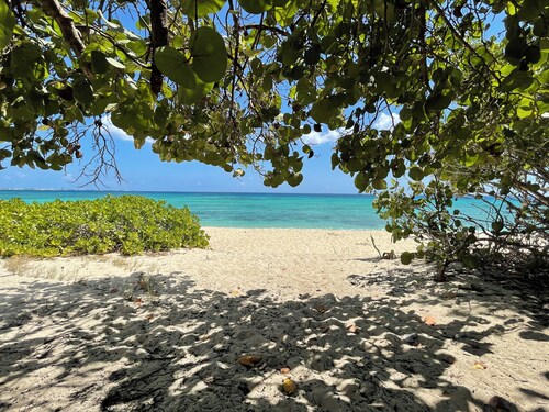 Luxury Beach Villa few steps from Seven Mile Beach + Outdoor bed swing 