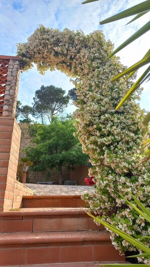 Property grounds - Villa Verde Cefalù sea view 2 (Cefalù)