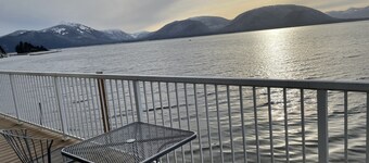 Ultimate Alaska wildlife experience.