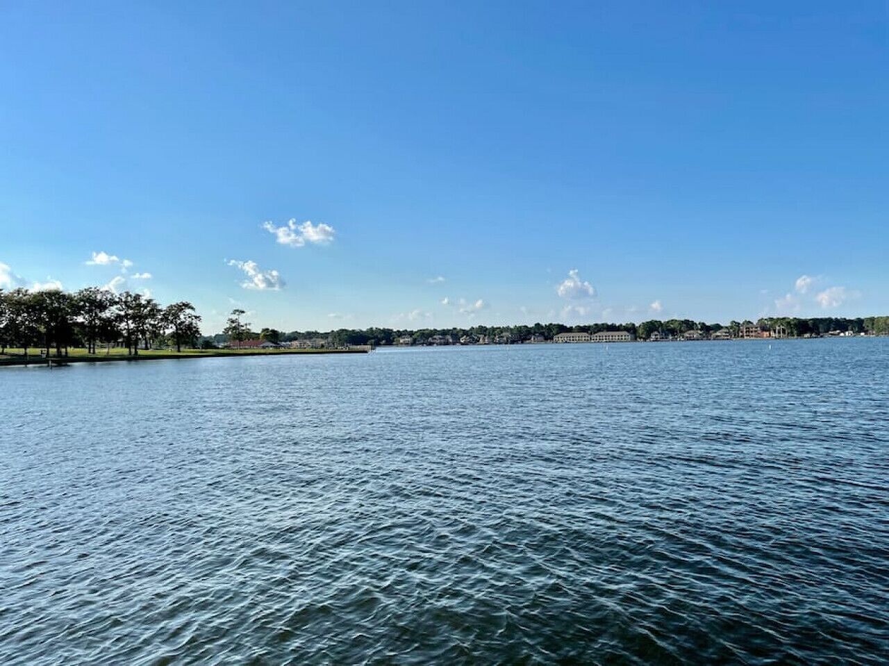 A calm lake with a clear sky and distant trees.
