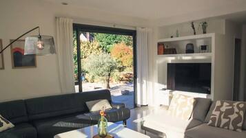 Télévision, cheminée, livres, espaces bureaux