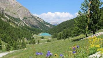 Áreas de la propiedad