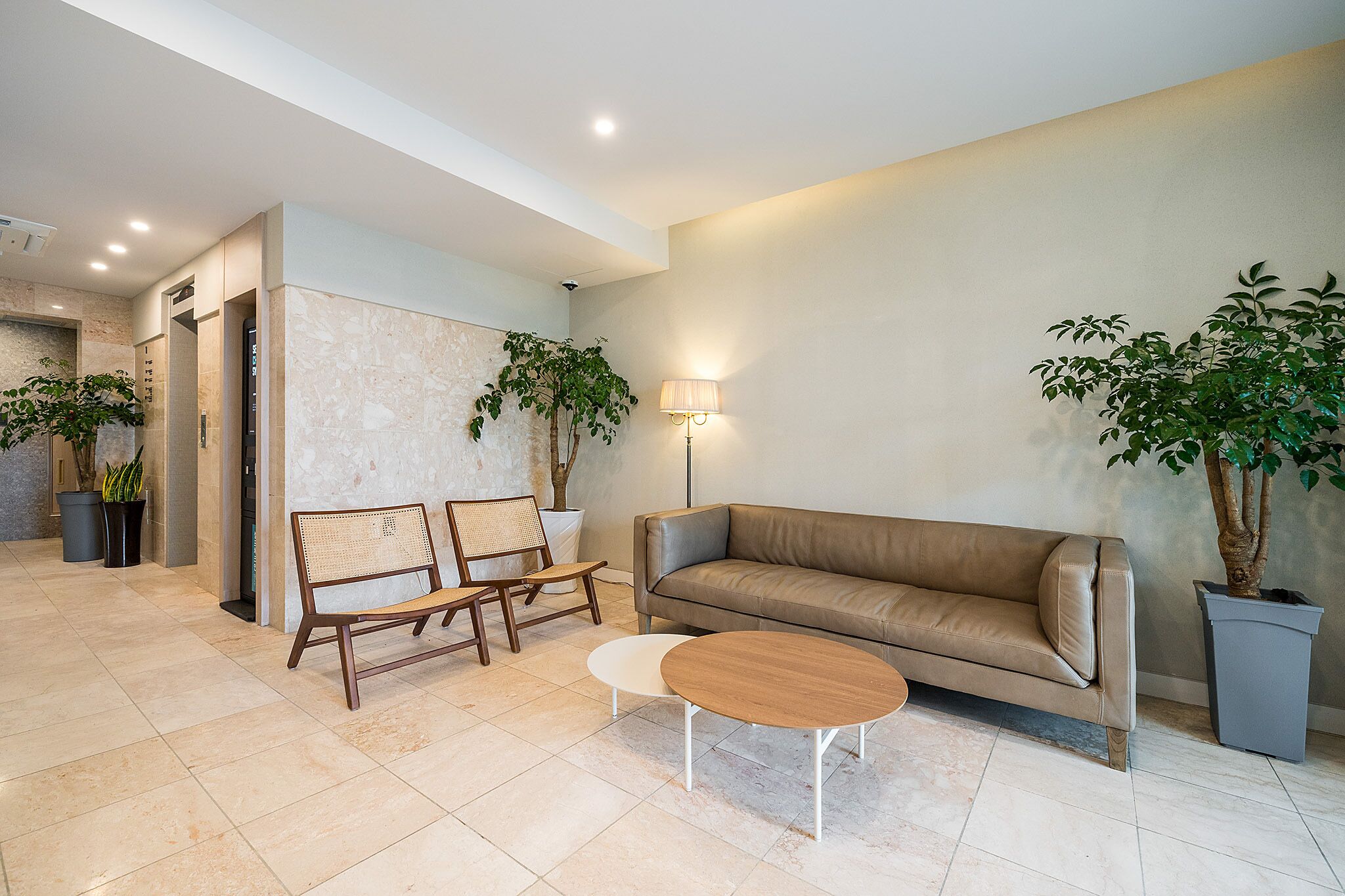 A modern lobby with a leather sofa, two wooden chairs, a small white table, and two potted plants.