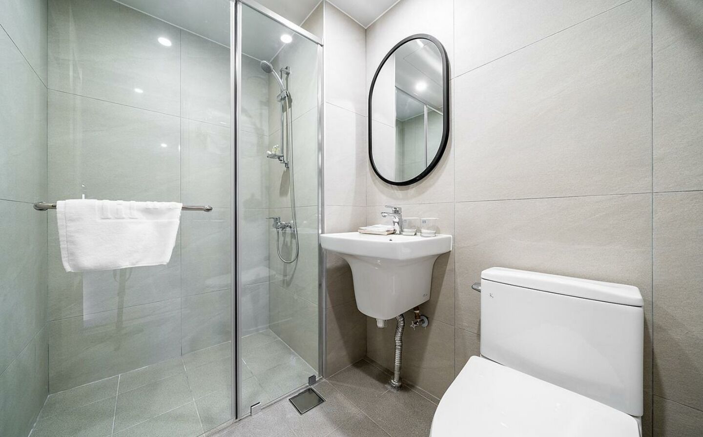 A modern bathroom with a glass shower enclosure, a white sink, and a toilet.