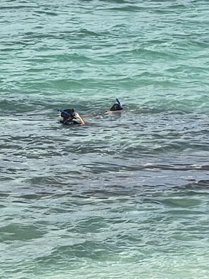 Two people swimming in a body of water. - Lagoon Luxury at Sandyport (Nassau)