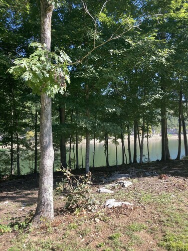 Lakeside Hideaway II - lakefront with hot tub / walk to boat ramp
