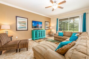 Smart TV, Netflix, streaming services