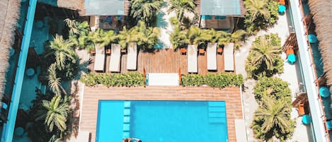 Vista aérea de un área de piscina en la azotea, con una piscina rectangular, sillones de descanso y plantas en macetas.