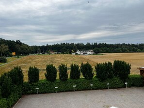 A rural landscape with a large open field, a white building, and a row of evergreen trees. - Vacation apartment 2 - Wiedemann Heiko (Dargen)