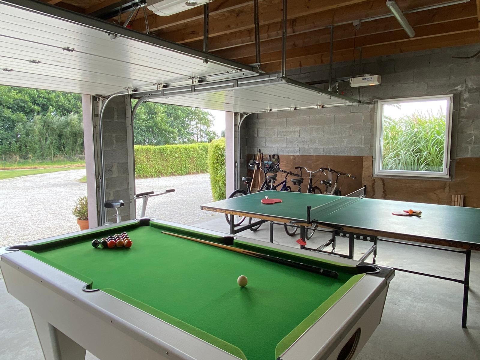 A pool table with a green felt surface, a billiard cue, and several billiard balls. There is a window with a view of greenery outside.
