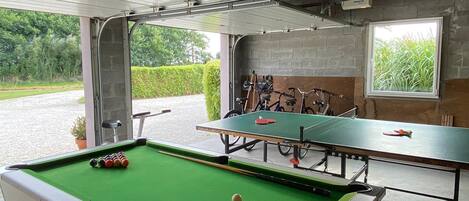 A pool table with a green felt surface, a billiard cue, and several billiard balls. There is a window with a view of greenery outside.