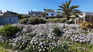 A residential area with a white house, solar panels, and a garden with white flowers.