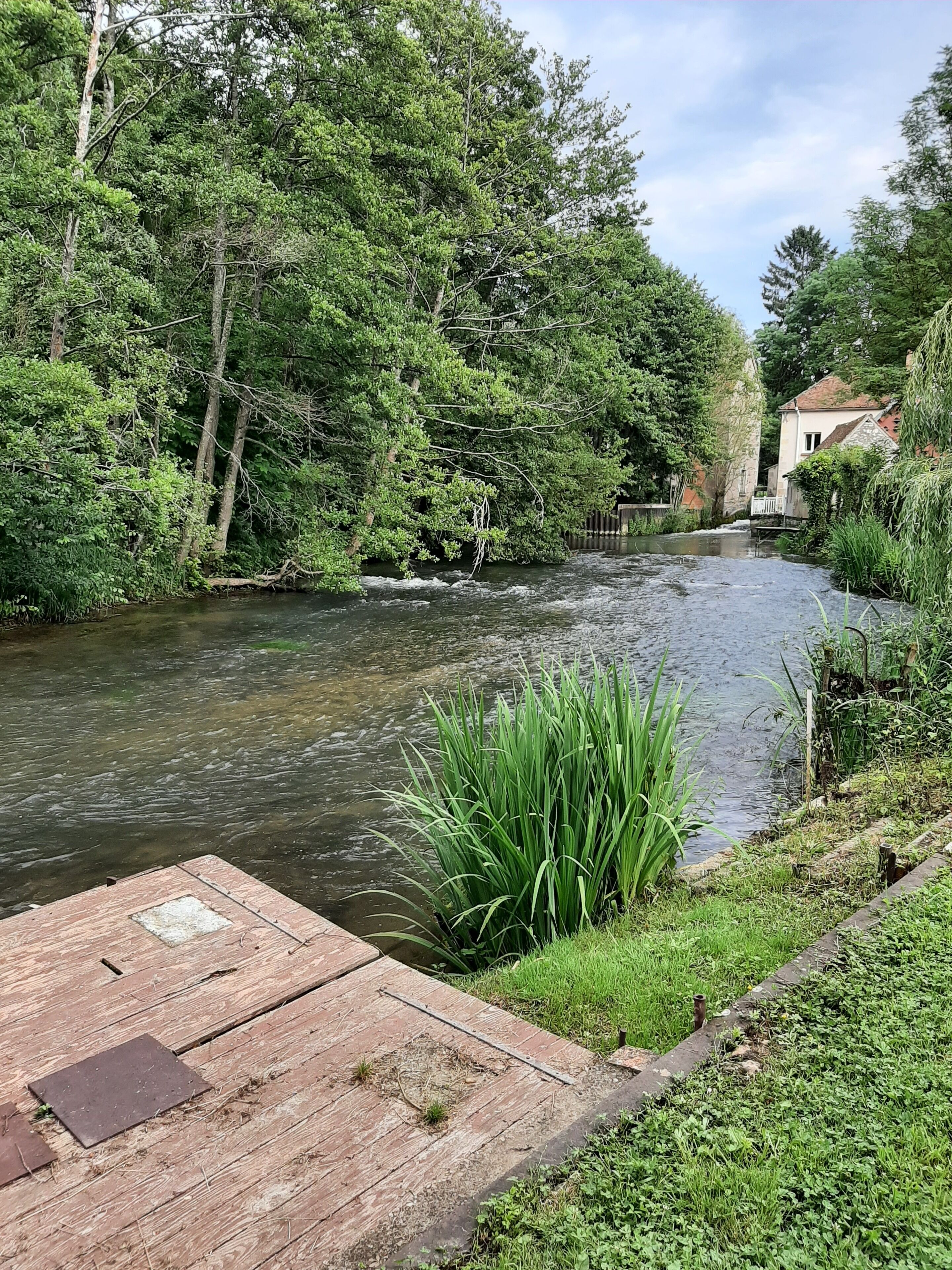 accès rivière le Nohain .
