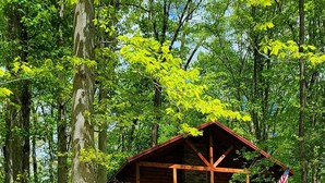 A cabin with a wooden deck and a balcony, surrounded by trees. - Beech View Haven- Custom Log Home in Hocking Hills (Logan)