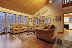 智能电视、壁炉、DVD 播放器