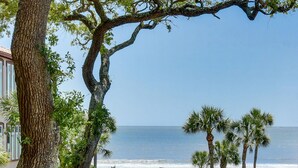 Une vue sur la côte, avec un grand arbre, des palmiers et un panneau indiquant l’emplacement d’une plage publique.