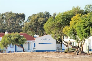 Esterni